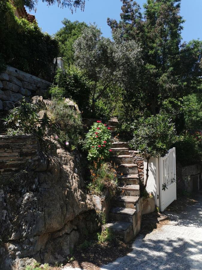 Apartamento Ou Souleou Bormes-les-Mimosas Exterior foto