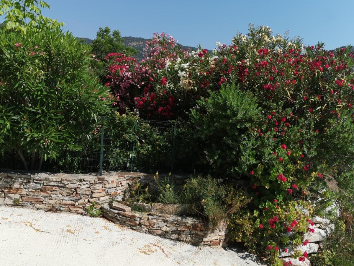 Apartamento Ou Souleou Bormes-les-Mimosas Exterior foto